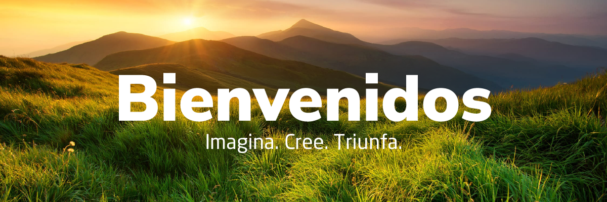 Impulsa tu negocio